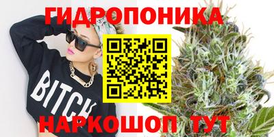 стаф Можайск