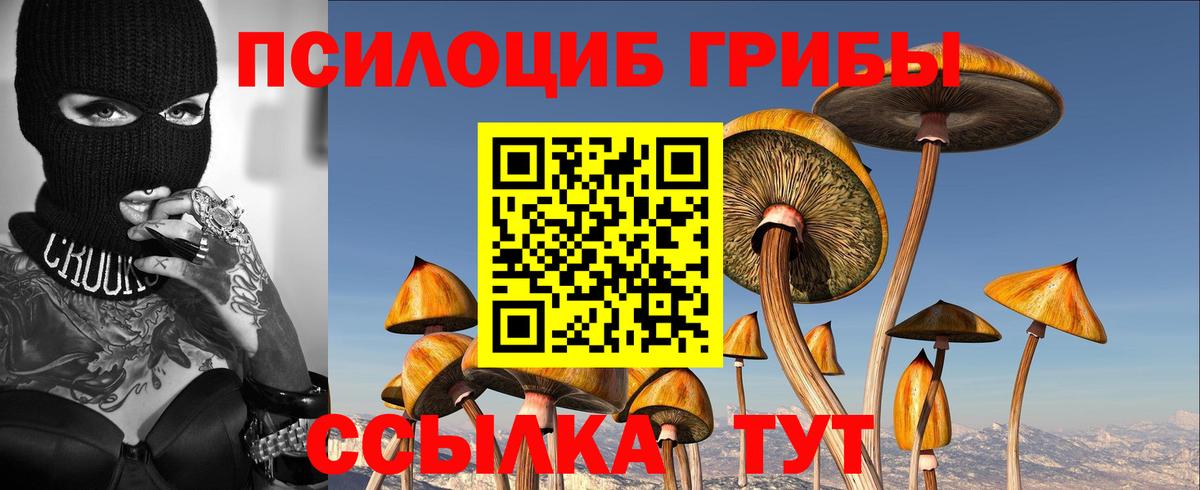 Псилоцибиновые грибы прущие грибы Черкесск