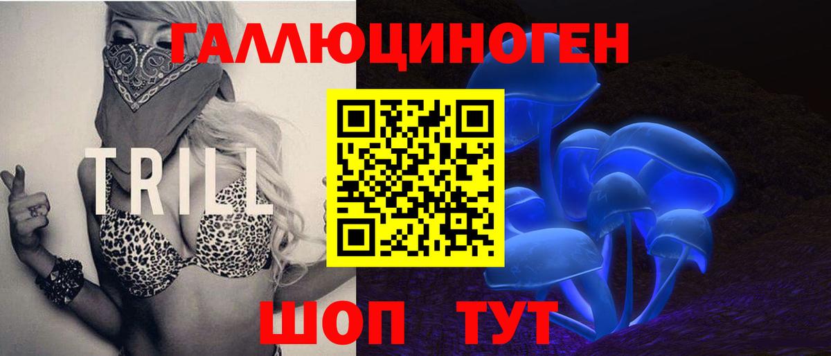Черкесск  Галлюциногенные грибы Cubensis  Вход с VPN 